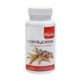 Plantis Cordyceps 60 cápsulas