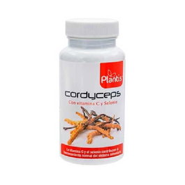 Cordyceps