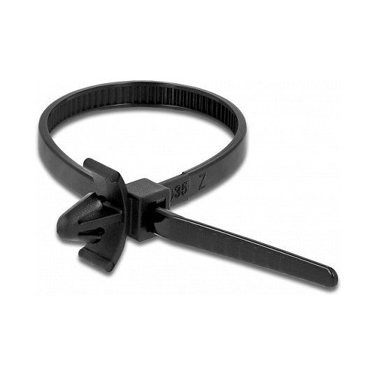 DeLOCK 18895 Brida reutilizable con anclaje de expansión Negro, 10 piezas