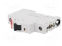 ABB SZ201-C32 Interruptor magnetotérmico 32A 1P Característica C