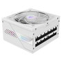 Gigabyte AORUS ELITE P1000W ICE Fuente de Alimentación 1000W Blanco