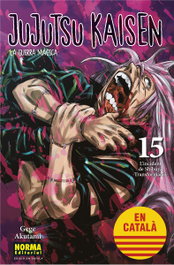 Jujutsu Kaisen 15, Gege Akutami - Norma Editorial