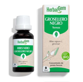 HERBALGEM Grosellero Negro BIO 30 ml