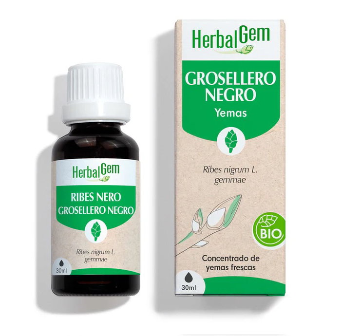 HERBALGEM Grosellero Negro BIO 30 ml HERBALGEM Grosellero Negro BIO 30 ml