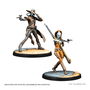 Atomic Mass Games Juego de Mesa Star Wars Shatterpoint: Fistful of Credits - Cad Bane Squad Pack (SWP09), Miniaturas para Montar y Pintar, 2 Jugadores, 14+, Español