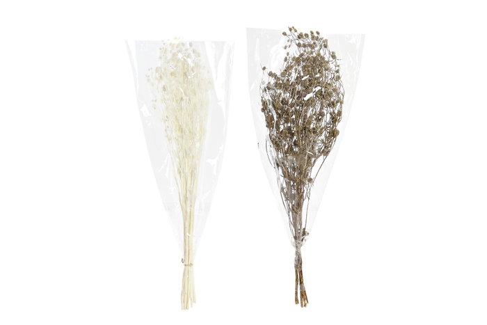 DKD Home Decor Rama de Flor Seca Surtida 20x20x70 cm DKD Home Decor Rama de Flor Seca Surtida 20x20x70 cm