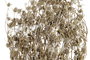 DKD Home Decor Rama de Flor Seca Surtida 20x20x70 cm