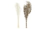 DKD Home Decor Rama de Flor Seca Surtida 20x20x70 cm