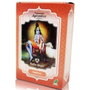Radhe Shyam Tratamiento Capilar Ayurvédico Hibiscus