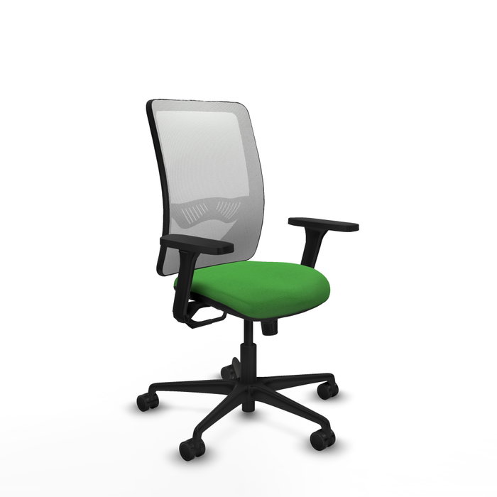 PIQUERAS Y CRESPO Silla de oficina Zulema con Mecanismo Sincro, Verde y Blanco PIQUERAS Y CRESPO Silla de oficina Zulema con Mecanismo Sincro, Verde y Blanco