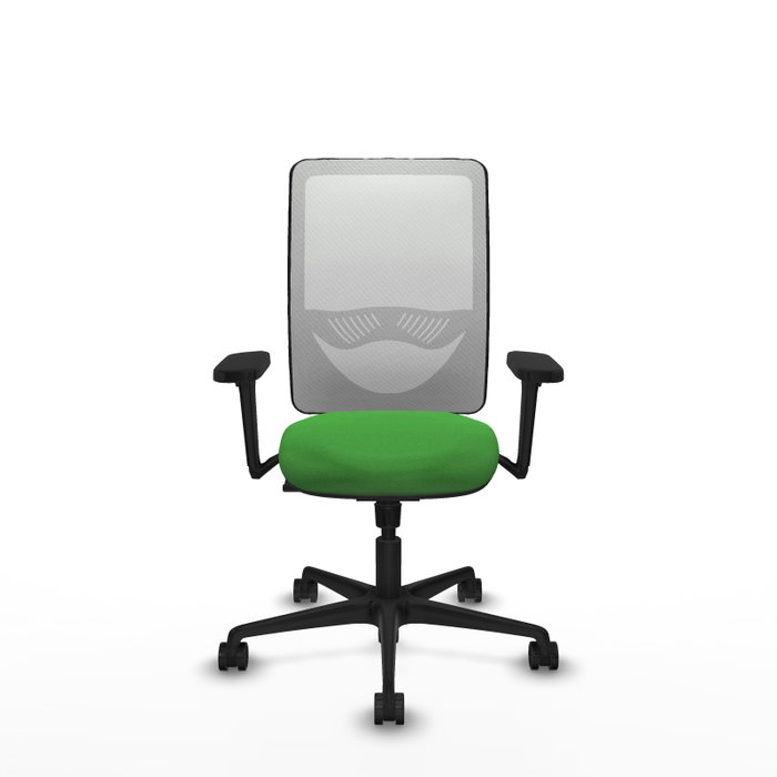 PIQUERAS Y CRESPO Silla de oficina Zulema con Mecanismo Sincro, Verde y Blanco PIQUERAS Y CRESPO Silla de oficina Zulema con Mecanismo Sincro, Verde y Blanco