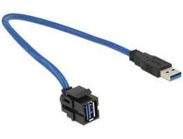 Delock Módulo Keystone USB 5 Gbps Tipo-A Hembra a Tipo-A Macho con cable de 0,5 m
