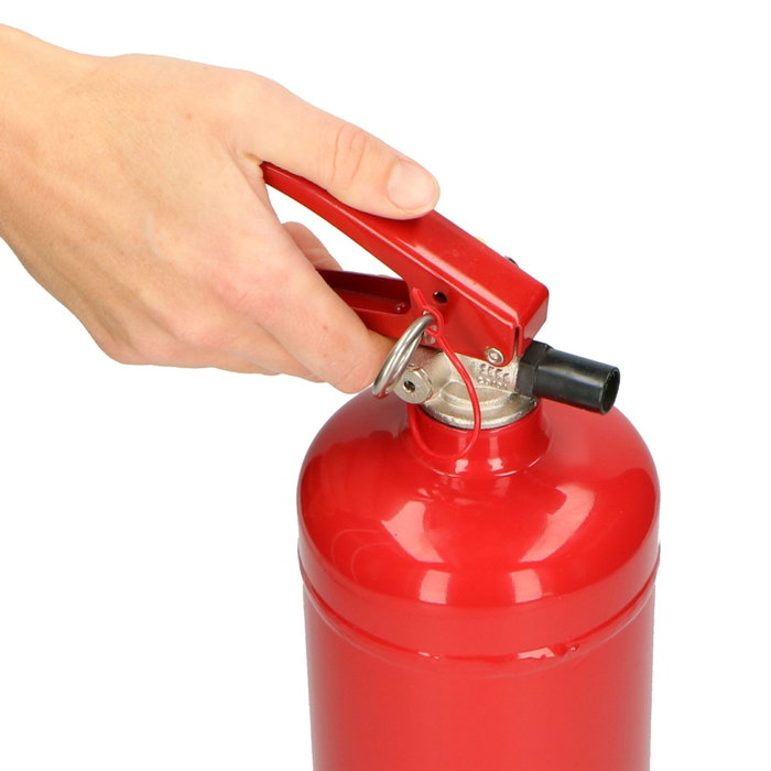 Alecto Extintor de Polvo BP-2 2 kg Alecto Extintor de Polvo BP-2 2 kg