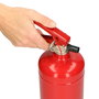 Alecto Extintor de Polvo BP-2 2 kg