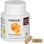 HAWLIK Políporo Umbelado extracto puro 60vcaps.