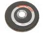 PROLINE Disco de lijado panelada 125mm granulación 60