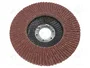 PROLINE Disco de lijado panelada 125mm granulación 60