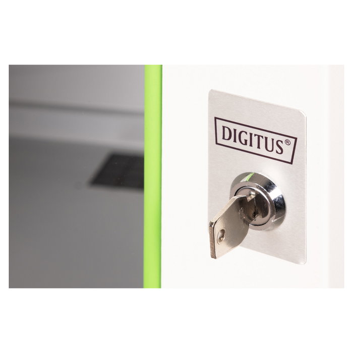 Digitus Armario de Pared Serie Unique 16U 820x600x600mm Gris