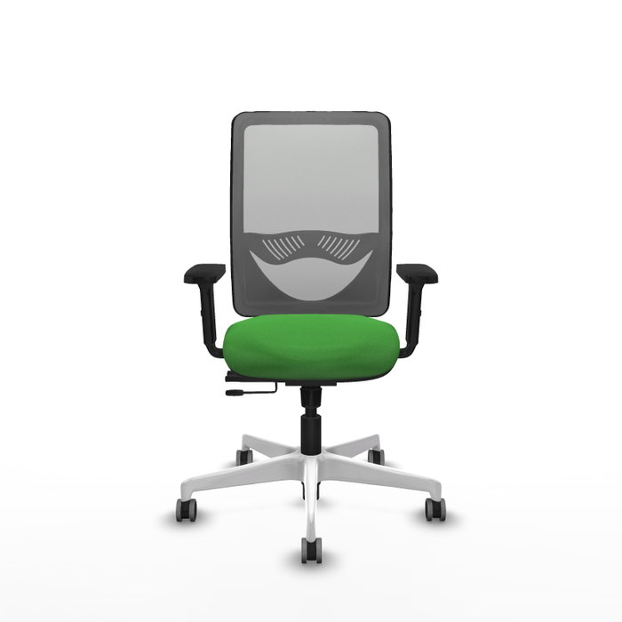 PIQUERAS Y CRESPO Silla de oficina Zulema Verde y Gris PIQUERAS Y CRESPO Silla de oficina Zulema Verde y Gris