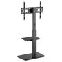 Equip Soporte de Suelo para TV 37-75 Pulgadas 650613