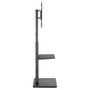 Equip Soporte de Suelo para TV 37-75 Pulgadas 650613