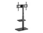 Equip 650613 Soporte de Suelo para TV 37-75 Pulgadas Negro