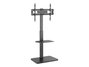 Equip Soporte de Suelo para TV 37-75 Pulgadas 650613 Negro