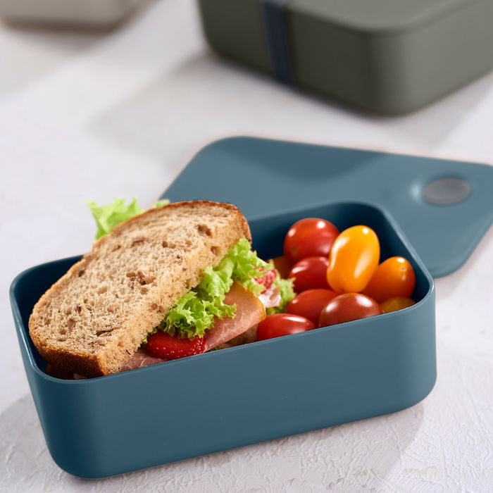 Day Fiambrera 1L con Divisor Móvil y Banda Elástica, 19x11x6 cm, Colores Surtidos