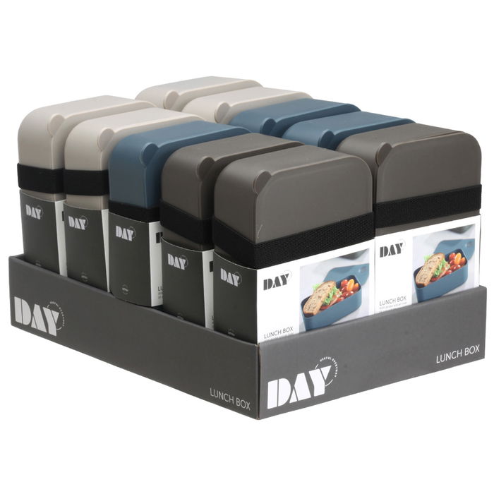 Day Fiambrera 1L con Divisor Móvil y Banda Elástica, 19x11x6 cm, Colores Surtidos