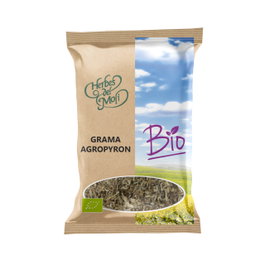 Grama Agropyron Raíz Eco