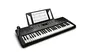 Alesis Teclado Portátil Harmony 54 con 54 Teclas, Altavoces Integrados, 300 Tonos, 300 Ritmos, 40 Canciones Demo y USB-MIDI