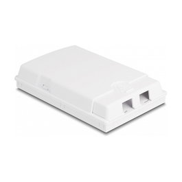 DeLOCK Caja de conexión de fibra óptica para montaje en pared 2 x SC Simplex o LC Duplex, Blanco
