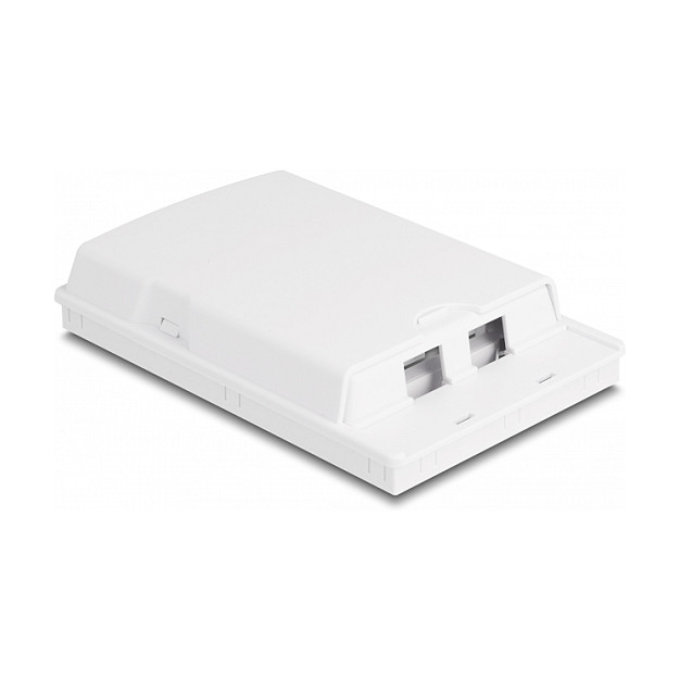 DeLOCK Caja de conexión de fibra óptica para montaje en pared 2 x SC Simplex o LC Duplex, Blanco