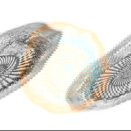 SUMMA Plato Llano Gres Caracol Verde 24 cm (Set de 6)