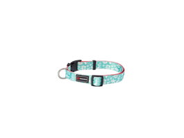 Freedog Collar Blue Ginger Cookie 20mm x 20/65cm T-M