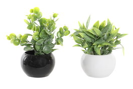 DKD Home Decor Planta PE Metal 12x12x15 Surtida