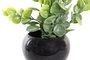 DKD Home Decor Planta PE Metal 12x12x15 Surtida