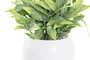 DKD Home Decor Planta PE Metal 12x12x15 Surtida