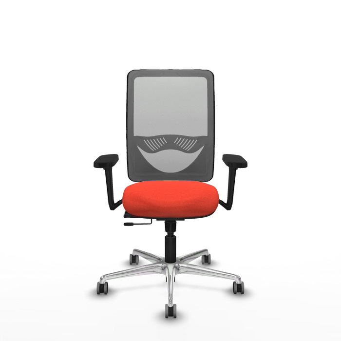 PIQUERAS Y CRESPO Silla de oficina Zulema con mecanismo Sincro/Traslack, Brazos 3D y Malla Gris PIQUERAS Y CRESPO Silla de oficina Zulema con mecanismo Sincro/Traslack, Brazos 3D y Malla Gris