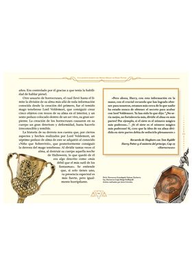 Tebeos Dolmen Editorial S.L. Los Secretos del Mundo Mágico de Harry Potter