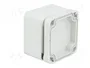 BOPLA EUROMAS II Carcasa Universal Gris IP65