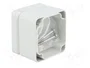 BOPLA EUROMAS II Carcasa Universal Gris IP65