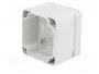 BOPLA EUROMAS II Carcasa Universal Gris IP65