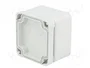 BOPLA EUROMAS II Carcasa Universal Gris IP65