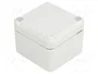 BOPLA EUROMAS II Carcasa Universal Gris IP65