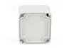 BOPLA EUROMAS II Carcasa Universal Gris IP65