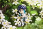 Genshin Impact Figura Nendoroid Doll Venti: Blue Ballad Ver. 14 cm