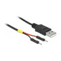 DeLOCK 85402 Cable de alimentación USB tipo A a 2 terminales de poste 30 cm