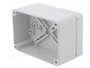 ELEKTRO-PLAST NASIELSK Carcasa Universal Industrial Gris IP65