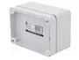 ELEKTRO-PLAST NASIELSK Carcasa Universal Industrial Gris IP65